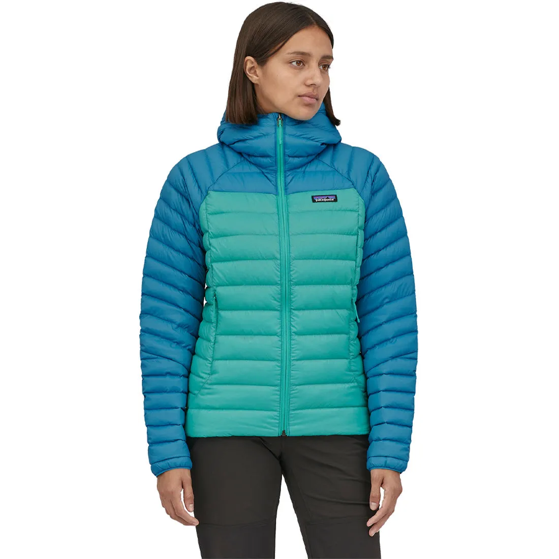 Patagonia Down Sweater Hoody - Women's